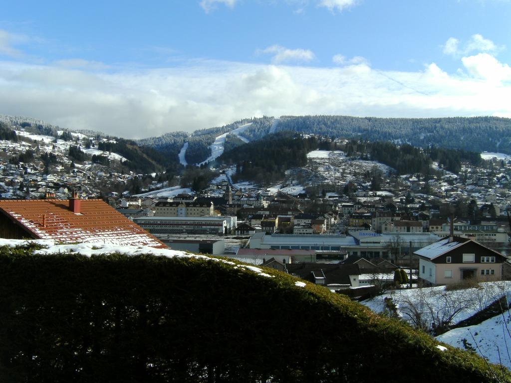 Les 4 Saisons Apartment Gerardmer Luaran gambar